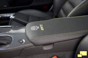 GT1 Championship Edition Corvette Interior Center Console